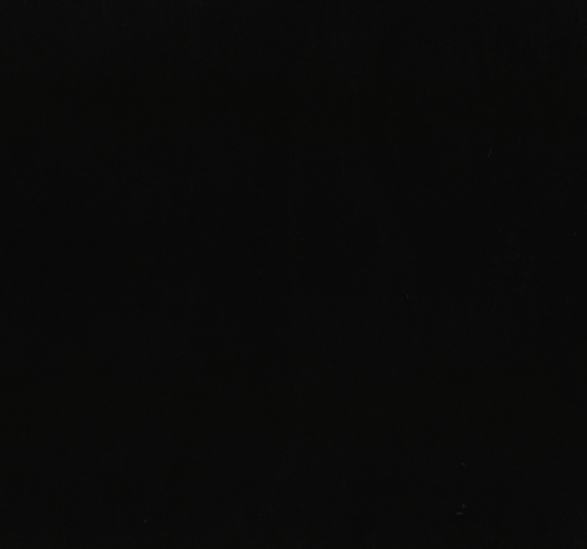 ABSOLUTE BLACK / GRANITE-HONED